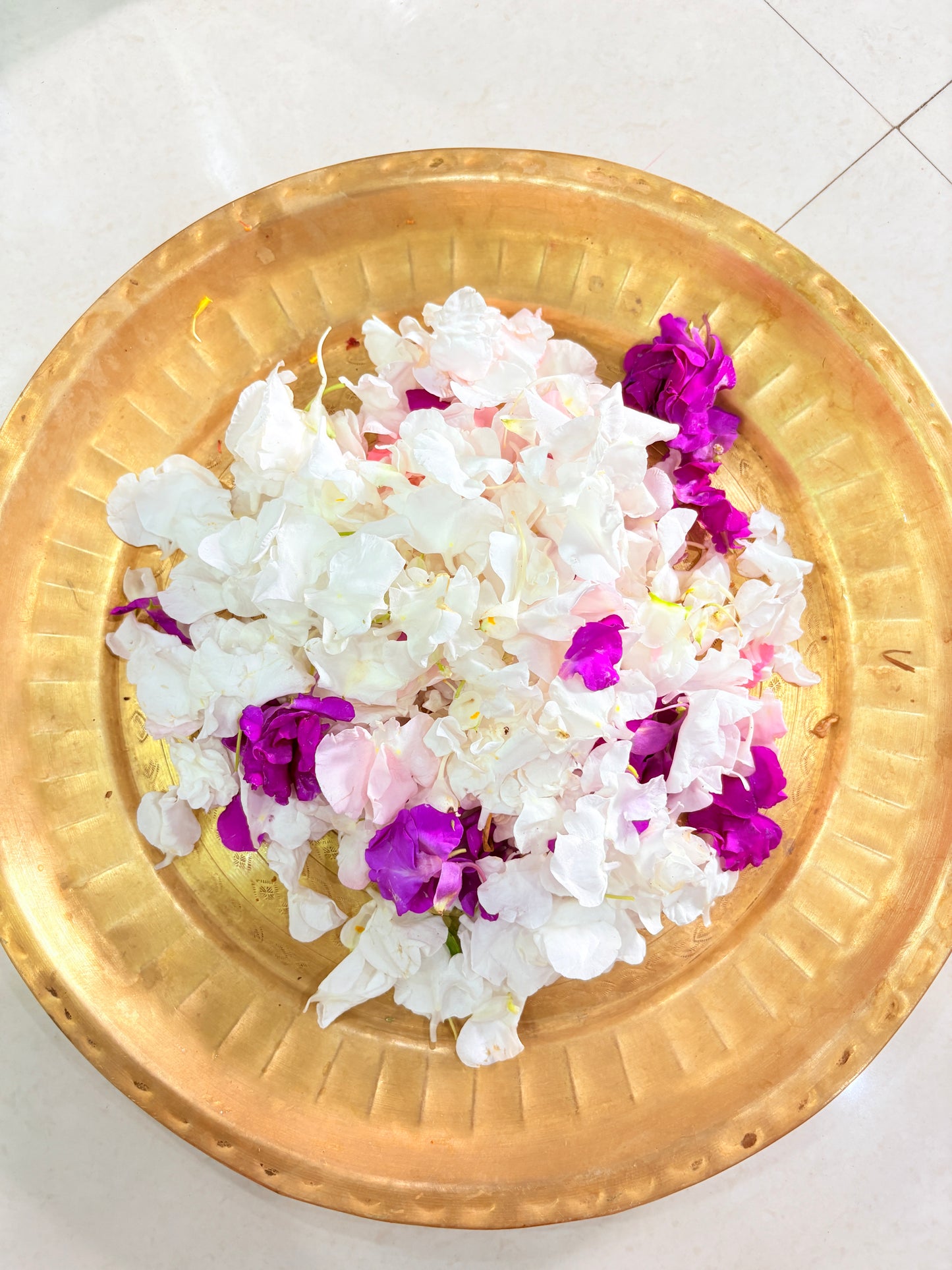 Royal Balsam Blooms(Dopati)