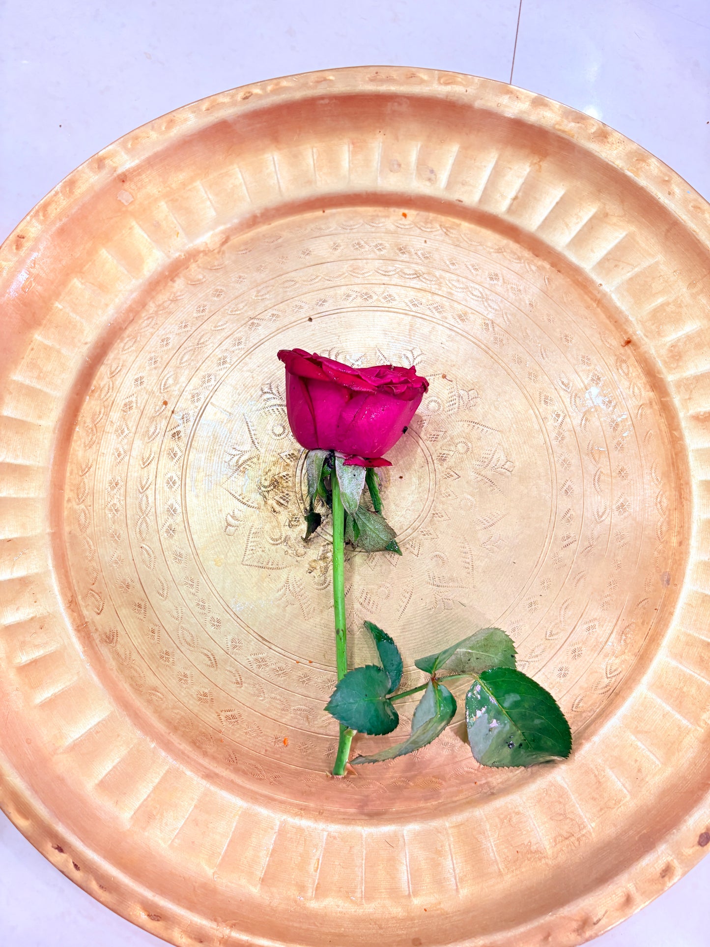 The Royal Crimson Rose