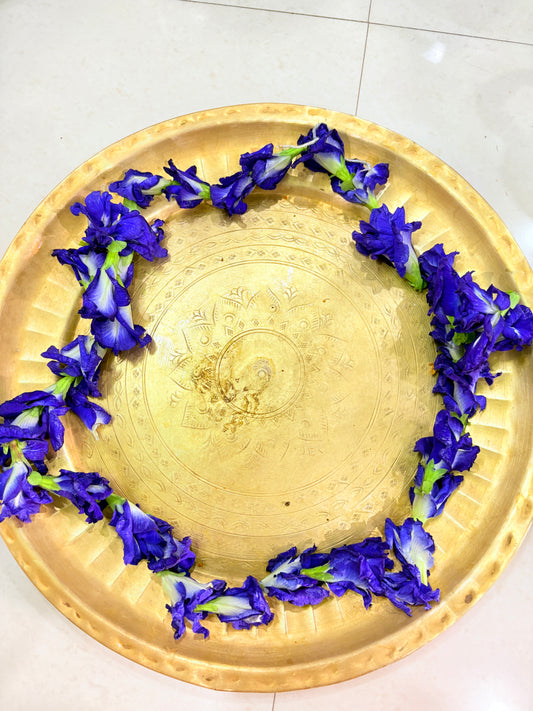 Butterfly Pea Flowers (or Aparajita)