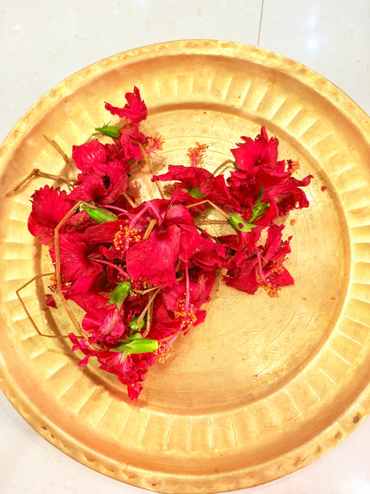 Deep Red Hibiscus Flowers(Jaba)